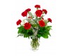 Dozen Carnations Arrangement